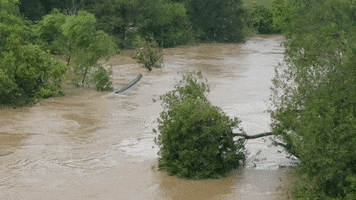 MFDtheArtist houston flood harvey GIF