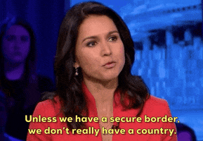 Tulsi Gabbard Immigration GIF by Election 2020