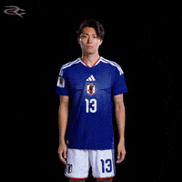Fifa World Cup Japan GIF by Respective