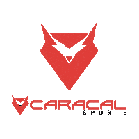 Jiu Jitsu Sticker by Caracal bjj