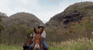 horse mule GIF by CBS