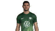 Happy Football Sticker by VfL Wolfsburg