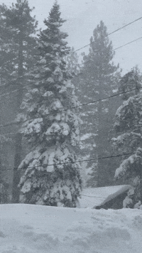 Strong Wind and Snow in California's Lake Tahoe as Winter Storm Warning Continues