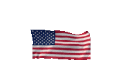 Memorial Day Thank You Sticker by Vinnie Camilleri