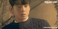 Cha Eun Woo Kdrama Couple GIF by Viki