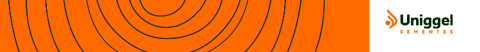 GIF by Uniggel Sementes
