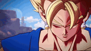 Dragon Ball Z Duo GIF