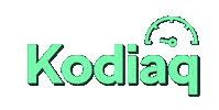 Car Driving Sticker by Škoda Global
