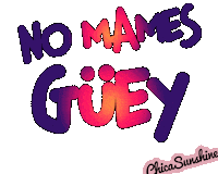 Humor Palabras Sticker by ChicaSunshineShop