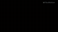 Connection Logo Reveal