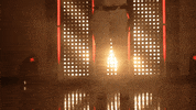 Stanford Cardinal Softball GIF by NCAA Championships