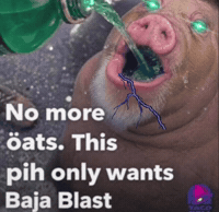 Taco Bell Pig GIF