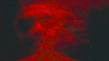 sub pop seattle GIF by Sub Pop Records