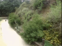 salute your shorts nicksplat GIF
