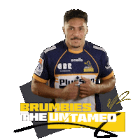 Super Rugby Act Sticker by BrumbiesRugby
