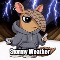 Stormy Weather Thunderstorm GIF by Chillo Dillo