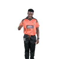 sunriserseasterncape cricket sec aya sunrisers Sticker