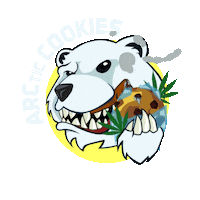 Bear Cannabis Sticker by High End Graphics