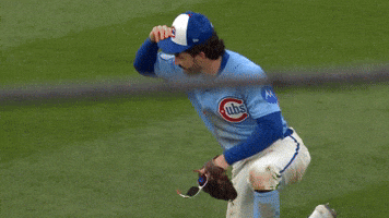 High Five Chicago Cubs GIF by TheDreamTeam 