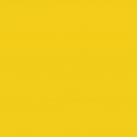 Crypto Blockchain GIF by Raiinmaker