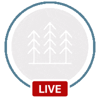 Texas Easter Sticker by Local Church