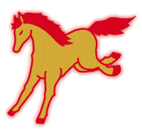 Chinese New Year Good Luck Sticker by eva pils