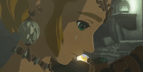 Nintendo Link GIF by GIPHY Gaming