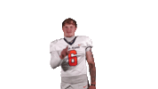 Cnfb Sticker by Carson-Newman Athletics