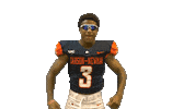 Cnfb Sticker by Carson-Newman Athletics