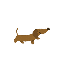 Petitgravier walking daschund teckel petitgravier Sticker