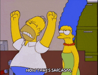 homer simpson GIF