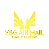 ybgroup air mail send it snail mail Sticker