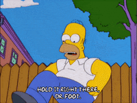 warning homer simpson GIF