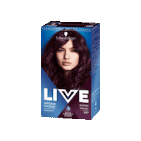 Schwarzkopf Sticker by Live Colour