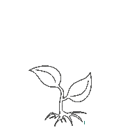 Orange Grow Sticker by Incubator Studio