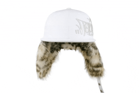 Dogearhat GIF by Toppaldn