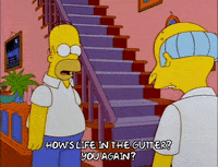 homer simpson episode 21 GIF