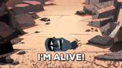 samurai jack GIF by Adult Swim