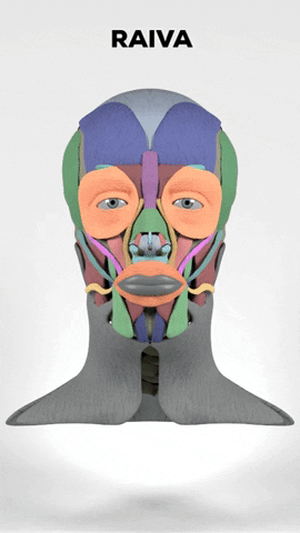 CICEM giphygifmaker anger raiva furia GIF