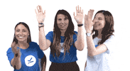 Kontentino kontentino GIF