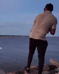 Fishing Bait GIF