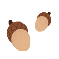 Fall Autumn Sticker