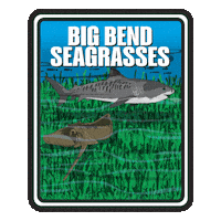 Aquatic Preserve Sticker by FLDEP