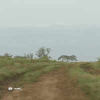 Coming On My Way GIF by FIA World Rally Championship