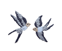 Bird Love Sticker by bemmimosa