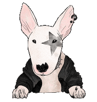 Rock Star Dog Sticker