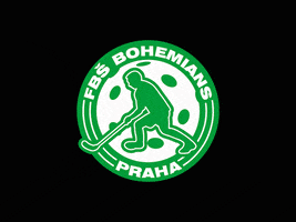 fbsbohemians bohemians bohemka fbsbohemians zelenobilasila GIF