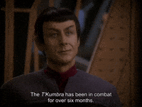 Star Trek Combat GIF by Goldmaster