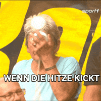 Borussia Dortmund Football GIF by SPORT1