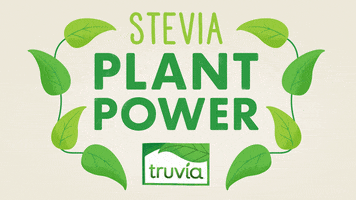 Sugar Free GIF by Truvia